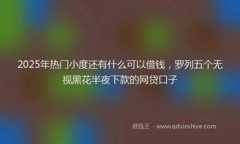 2025年热门小度还有什么可以借钱，罗列五个无视黑花半夜下款的网贷口子