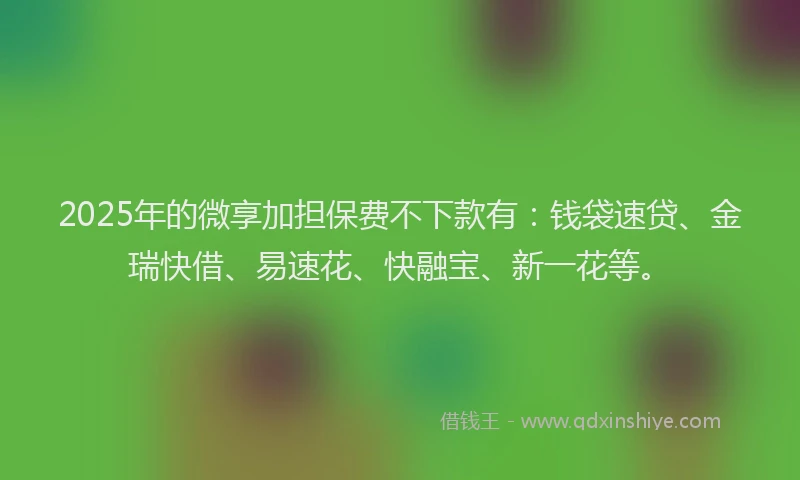 2025年的微享加担保费不下款有：钱袋速贷、金瑞快借、易速花、快融宝、新一花等。