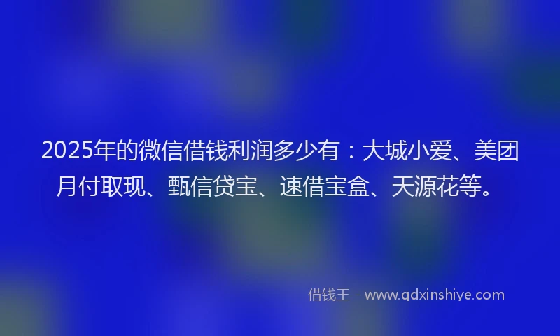 2025年的微信借钱利润多少有：大城小爱、美团月付取现、甄信贷宝、速借宝盒、天源花等。