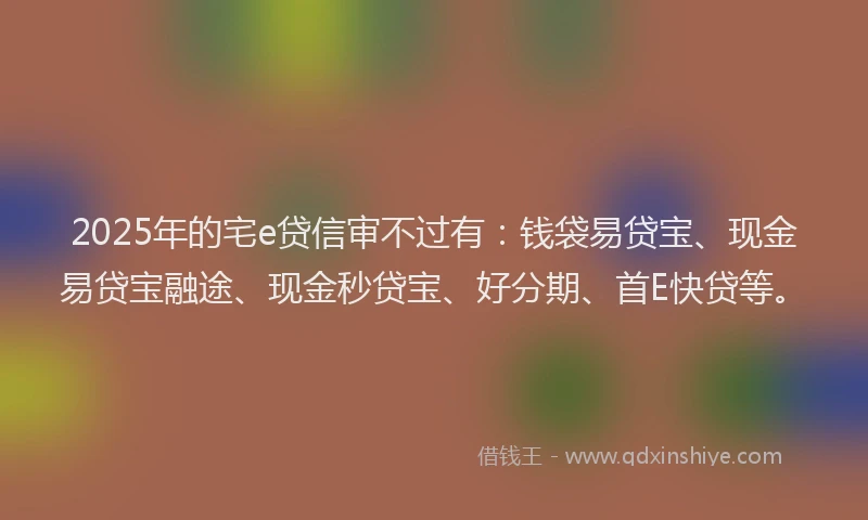 2025年的宅e贷信审不过有：钱袋易贷宝、现金易贷宝融途、现金秒贷宝、好分期、首E快贷等。