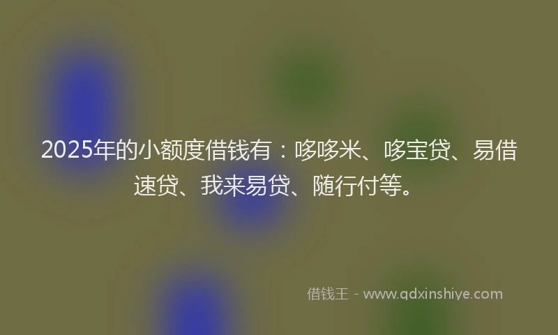 2025年的小额度借钱有：哆哆米、哆宝贷、易借速贷、我来易贷、随行付等。
