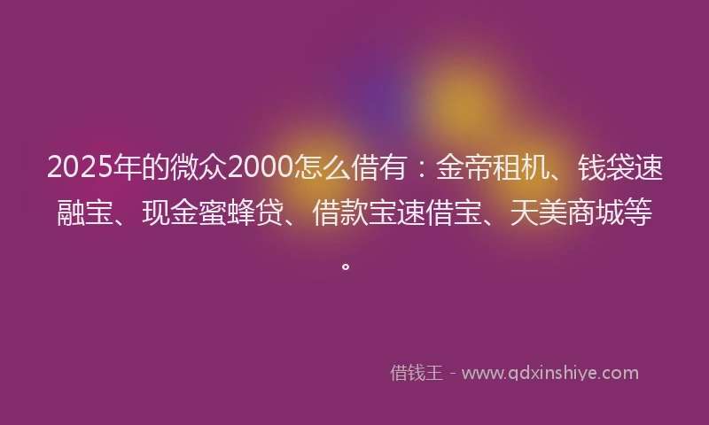 2025年的微众2000怎么借有：金帝租机、钱袋速融宝、现金蜜蜂贷、借款宝速借宝、天美商城等。
