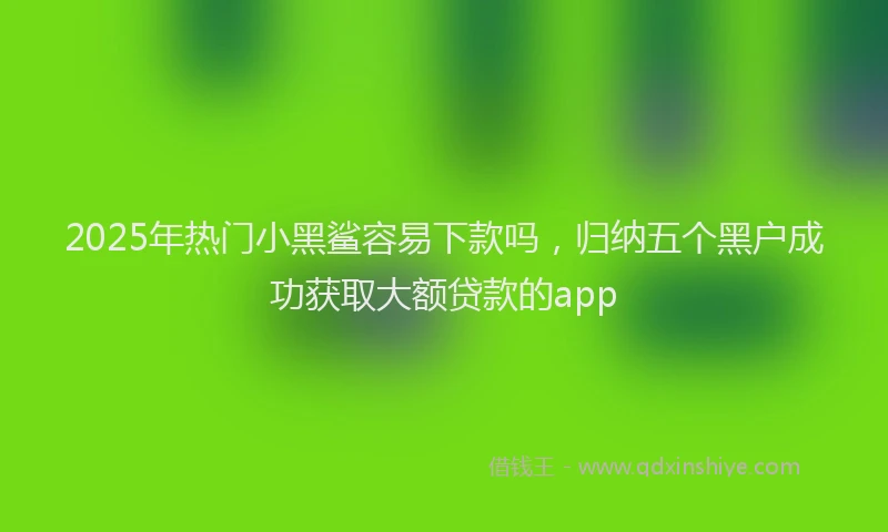 2025年热门小黑鲨容易下款吗，归纳五个黑户成功获取大额贷款的app
