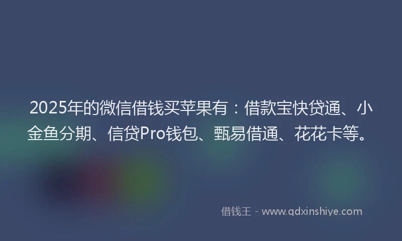 2025年的微信借钱买苹果有：借款宝快贷通、小金鱼分期、信贷Pro钱包、甄易借通、花花卡等。