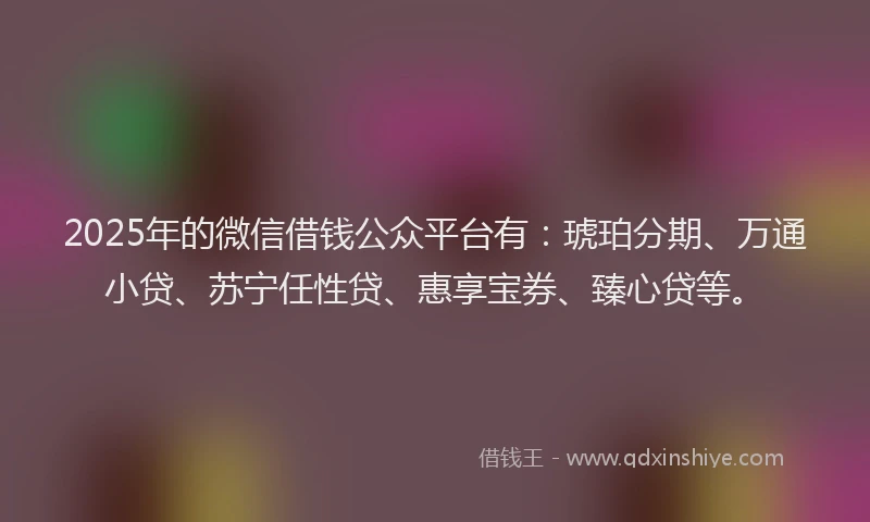 2025年的微信借钱公众平台有：琥珀分期、万通小贷、苏宁任性贷、惠享宝券、臻心贷等。