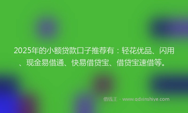 2025年的小额贷款口子推荐有：轻花优品、闪用、现金易借通、快易借贷宝、借贷宝速借等。