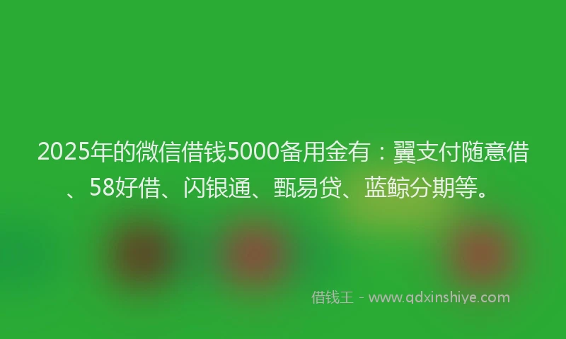 2025年的微信借钱5000备用金有：翼支付随意借、58好借、闪银通、甄易贷、蓝鲸分期等。