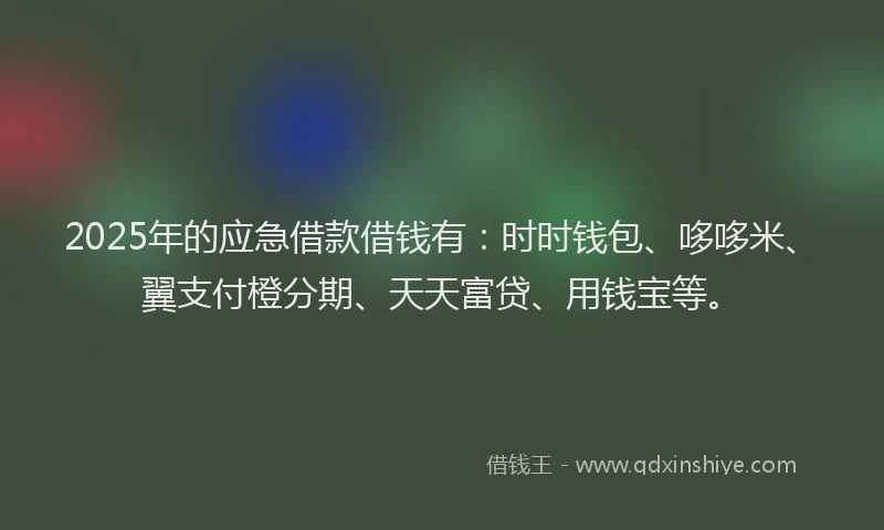 2025年的应急借款借钱有：时时钱包、哆哆米、翼支付橙分期、天天富贷、用钱宝等。