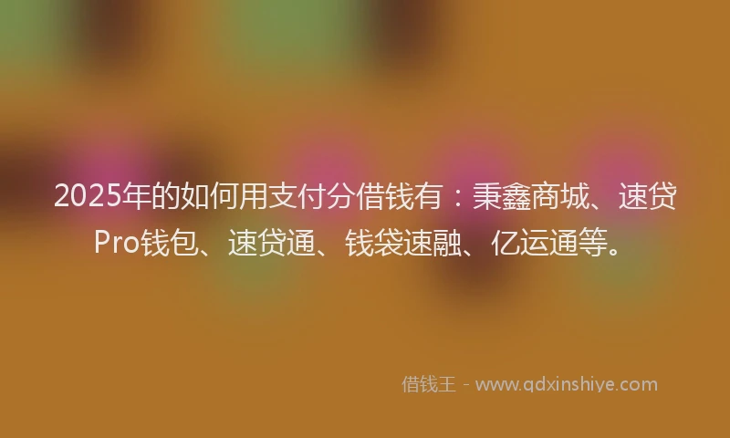 2025年的如何用支付分借钱有：秉鑫商城、速贷Pro钱包、速贷通、钱袋速融、亿运通等。
