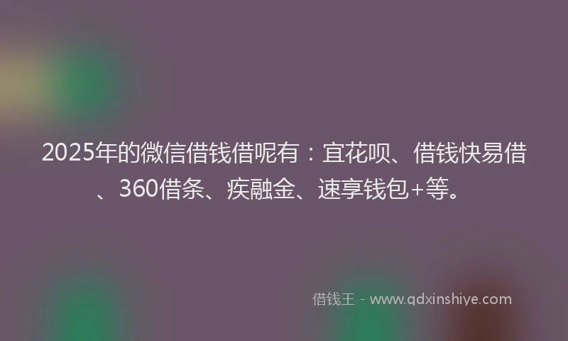 2025年的微信借钱借呢有：宜花呗、借钱快易借、360借条、疾融金、速享钱包+等。