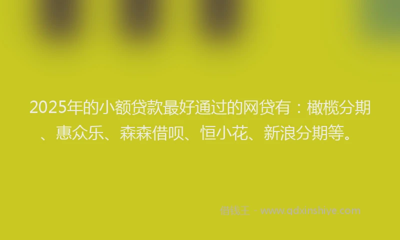 2025年的小额贷款最好通过的网贷有：橄榄分期、惠众乐、森森借呗、恒小花、新浪分期等。