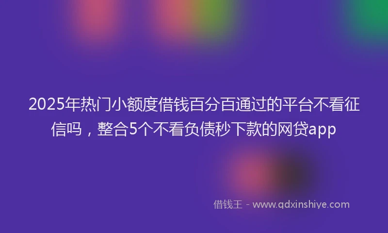 2025年热门小额度借钱百分百通过的平台不看征信吗，整合5个不看负债秒下款的网贷app