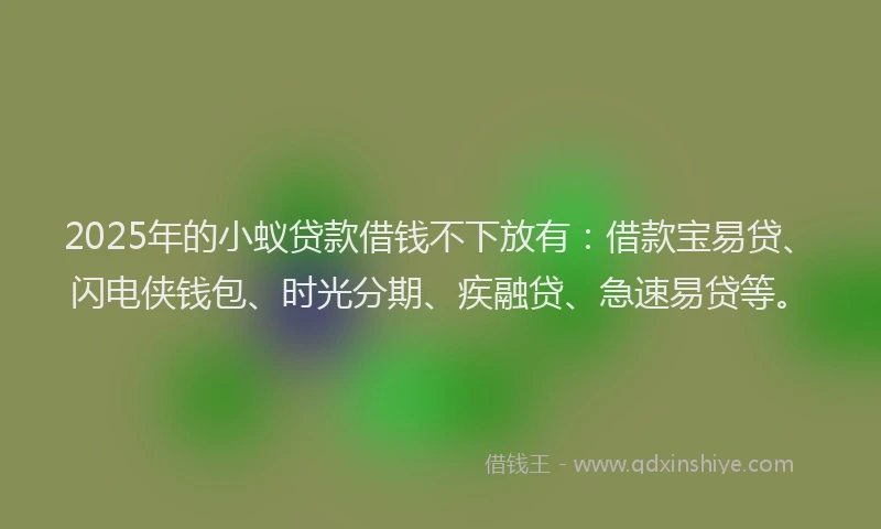 2025年的小蚁贷款借钱不下放有：借款宝易贷、闪电侠钱包、时光分期、疾融贷、急速易贷等。
