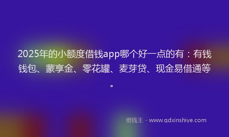 2025年的小额度借钱app哪个好一点的有：有钱钱包、蒙享金、零花罐、麦芽贷、现金易借通等。