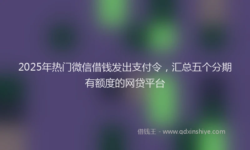2025年热门微信借钱发出支付令，汇总五个分期有额度的网贷平台