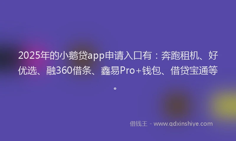 2025年的小鹅贷app申请入口有：奔跑租机、好优选、融360借条、鑫易Pro+钱包、借贷宝通等。