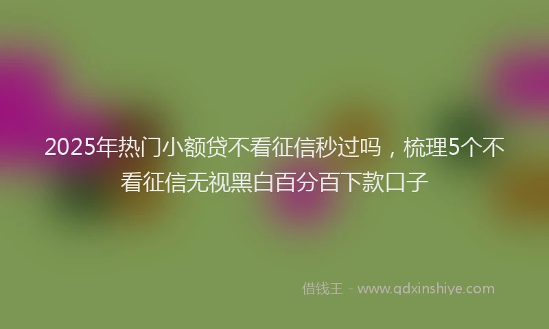 2025年热门小额贷不看征信秒过吗，梳理5个不看征信无视黑白百分百下款口子