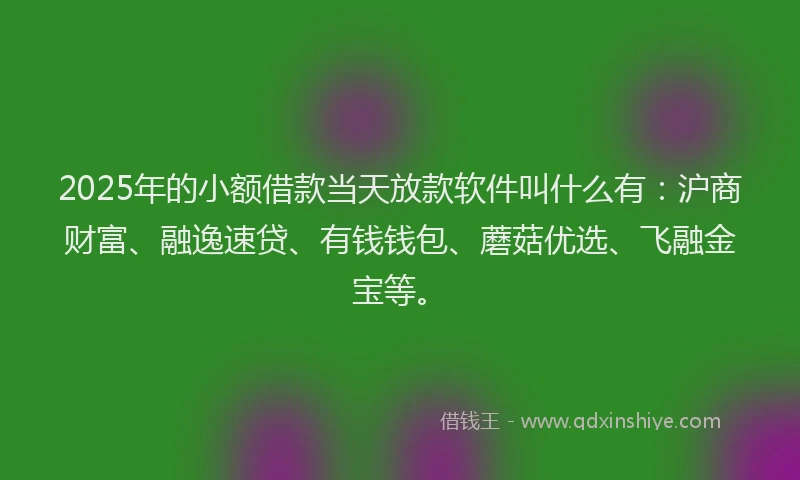 2025年的小额借款当天放款软件叫什么有：沪商财富、融逸速贷、有钱钱包、蘑菇优选、飞融金宝等。