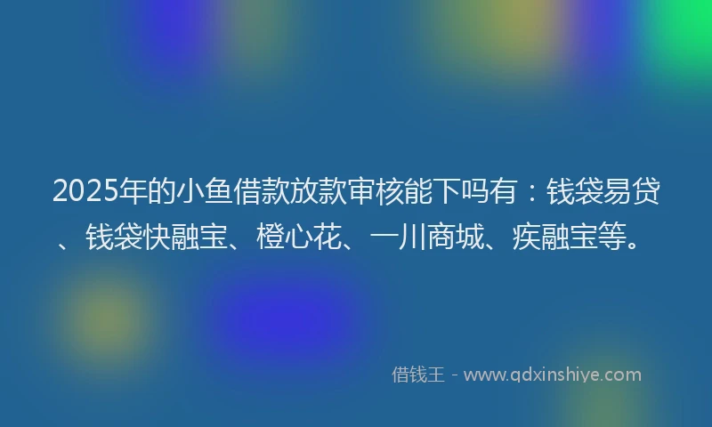 2025年的小鱼借款放款审核能下吗有：钱袋易贷、钱袋快融宝、橙心花、一川商城、疾融宝等。