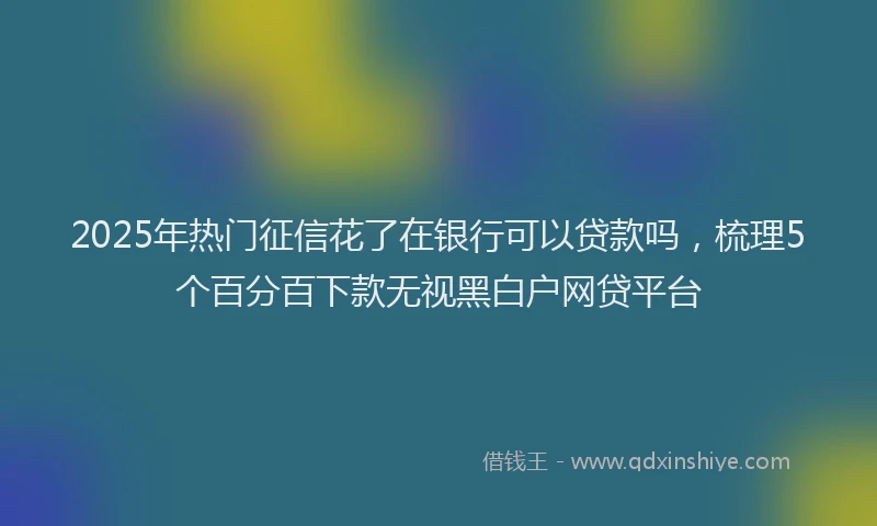 2025年热门征信花了在银行可以贷款吗，梳理5个百分百下款无视黑白户网贷平台