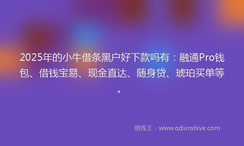2025年的小牛借条黑户好下款吗有：融通Pro钱包、借钱宝易、现金直达、随身贷、琥珀买单等。