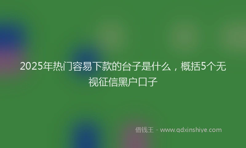 2025年热门容易下款的台子是什么，概括5个无视征信黑户口子