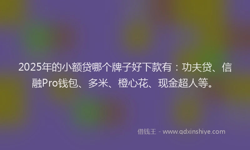 2025年的小额贷哪个牌子好下款有：功夫贷、信融Pro钱包、多米、橙心花、现金超人等。