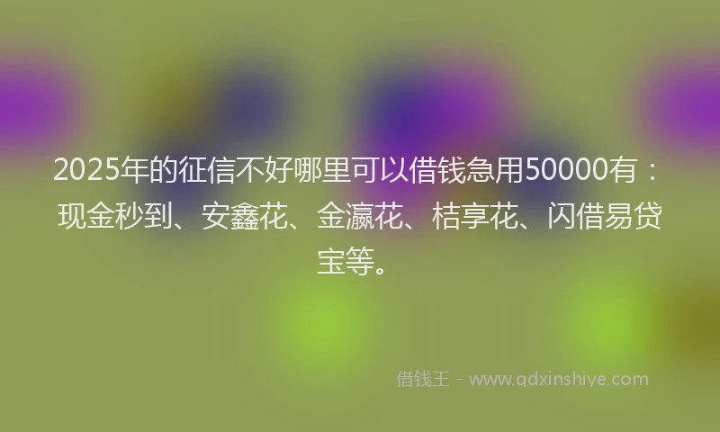 2025年的征信不好哪里可以借钱急用50000有：现金秒到、安鑫花、金瀛花、桔享花、闪借易贷宝等。