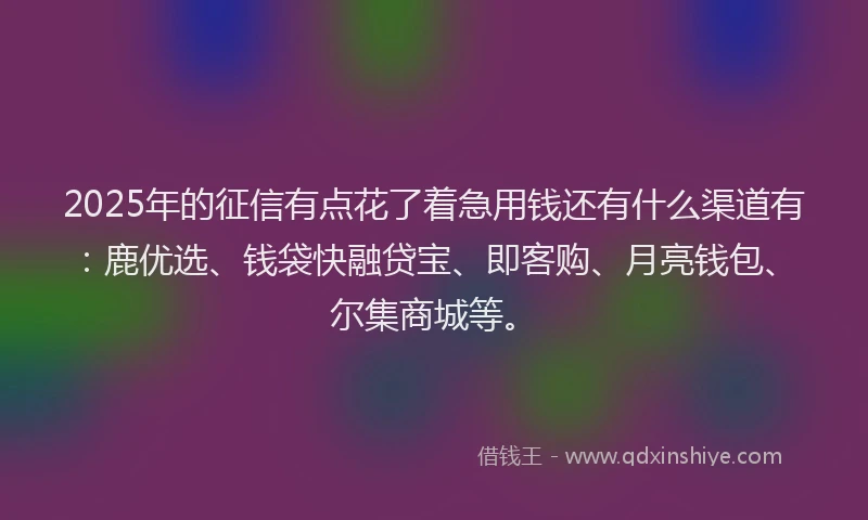 2025年的征信有点花了着急用钱还有什么渠道有：鹿优选、钱袋快融贷宝、即客购、月亮钱包、尔集商城等。