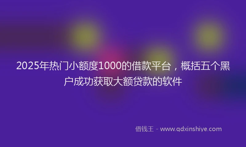2025年热门小额度1000的借款平台，概括五个黑户成功获取大额贷款的软件