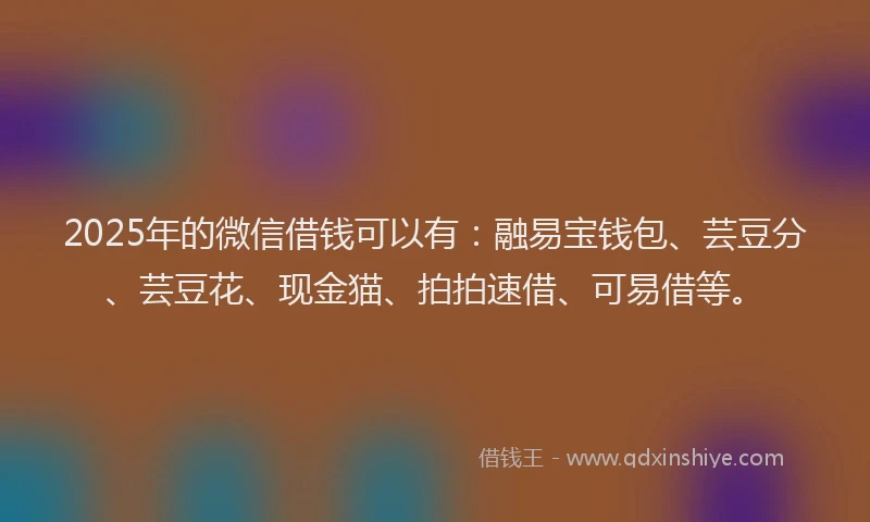2025年的微信借钱可以有：融易宝钱包、芸豆分、芸豆花、现金猫、拍拍速借、可易借等。