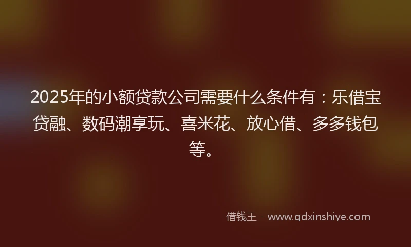 2025年的小额贷款公司需要什么条件有：乐借宝贷融、数码潮享玩、喜米花、放心借、多多钱包等。