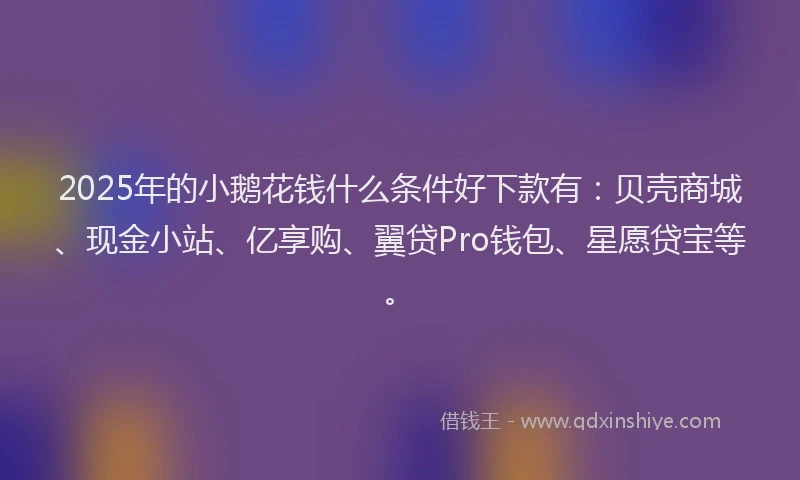 2025年的小鹅花钱什么条件好下款有：贝壳商城、现金小站、亿享购、翼贷Pro钱包、星愿贷宝等。