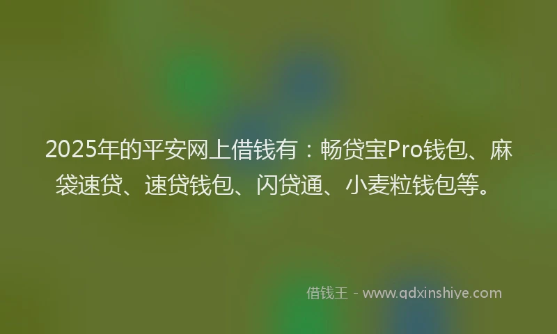 2025年的平安网上借钱有：畅贷宝Pro钱包、麻袋速贷、速贷钱包、闪贷通、小麦粒钱包等。