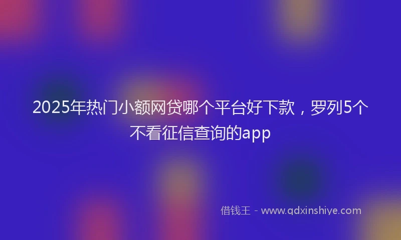 2025年热门小额网贷哪个平台好下款，罗列5个不看征信查询的app