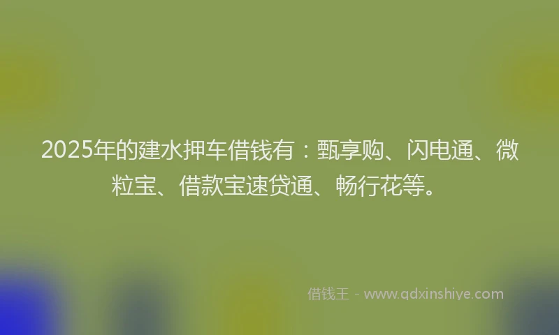 2025年的建水押车借钱有：甄享购、闪电通、微粒宝、借款宝速贷通、畅行花等。