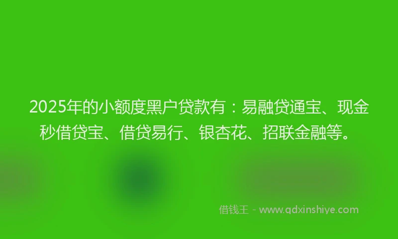 2025年的小额度黑户贷款有：易融贷通宝、现金秒借贷宝、借贷易行、银杏花、招联金融等。