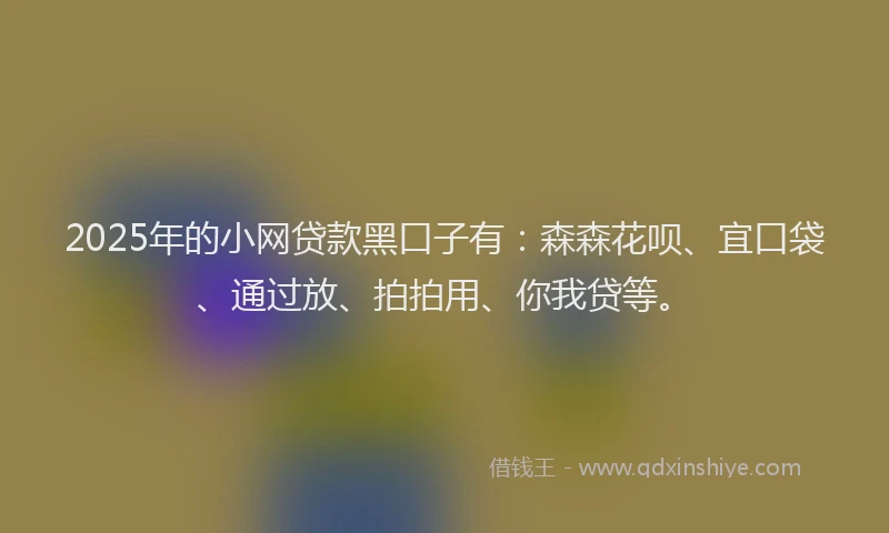 2025年的小网贷款黑口子有：森森花呗、宜口袋、通过放、拍拍用、你我贷等。