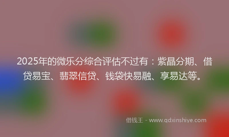 2025年的微乐分综合评估不过有：紫晶分期、借贷易宝、翡翠信贷、钱袋快易融、享易达等。