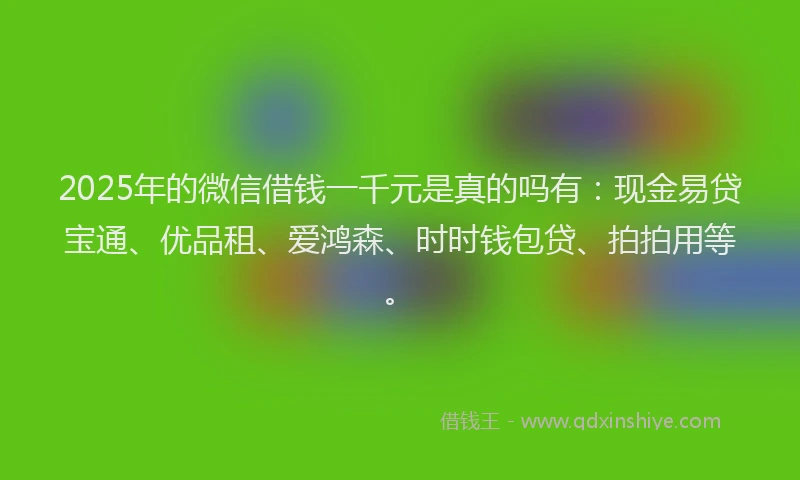 2025年的微信借钱一千元是真的吗有：现金易贷宝通、优品租、爱鸿森、时时钱包贷、拍拍用等。