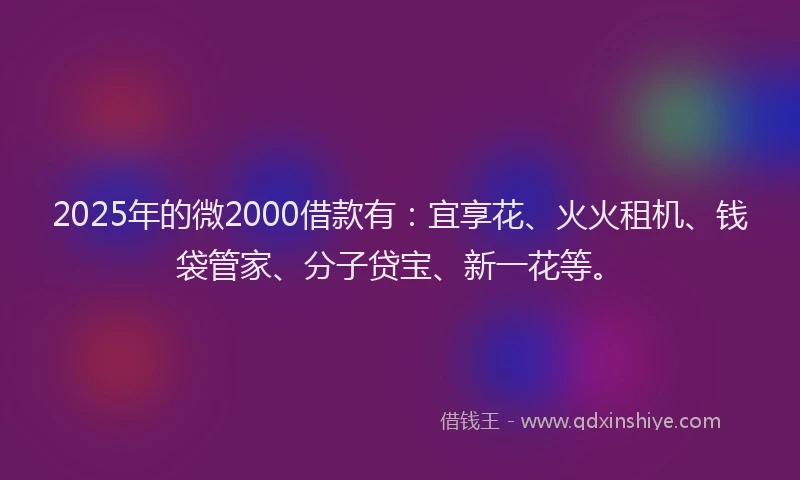 2025年的微2000借款有：宜享花、火火租机、钱袋管家、分子贷宝、新一花等。