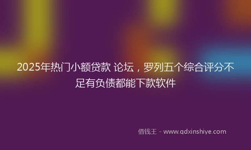 2025年热门小额贷款 论坛，罗列五个综合评分不足有负债都能下款软件