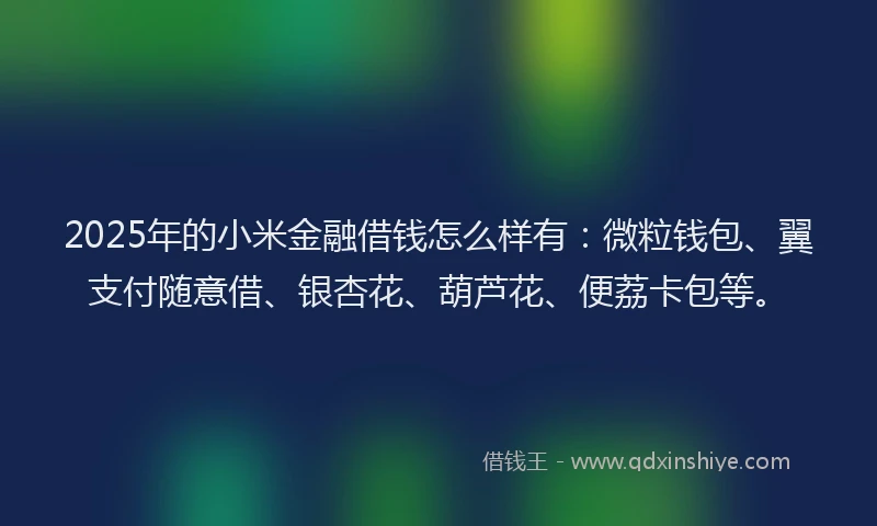 2025年的小米金融借钱怎么样有：微粒钱包、翼支付随意借、银杏花、葫芦花、便荔卡包等。
