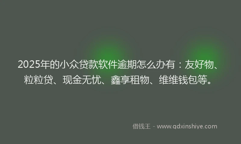 2025年的小众贷款软件逾期怎么办有：友好物、粒粒贷、现金无忧、鑫享租物、维维钱包等。