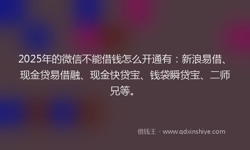 2025年的微信不能借钱怎么开通有：新浪易借、现金贷易借融、现金快贷宝、钱袋瞬贷宝、二师兄等。