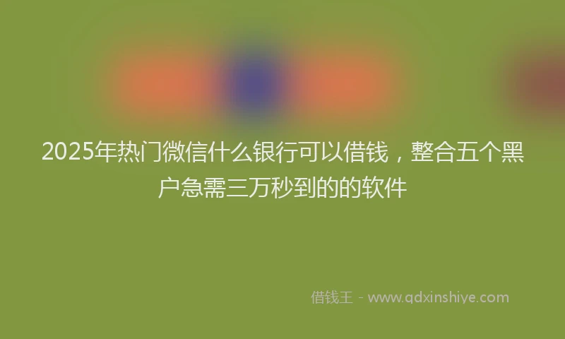 2025年热门微信什么银行可以借钱，整合五个黑户急需三万秒到的的软件