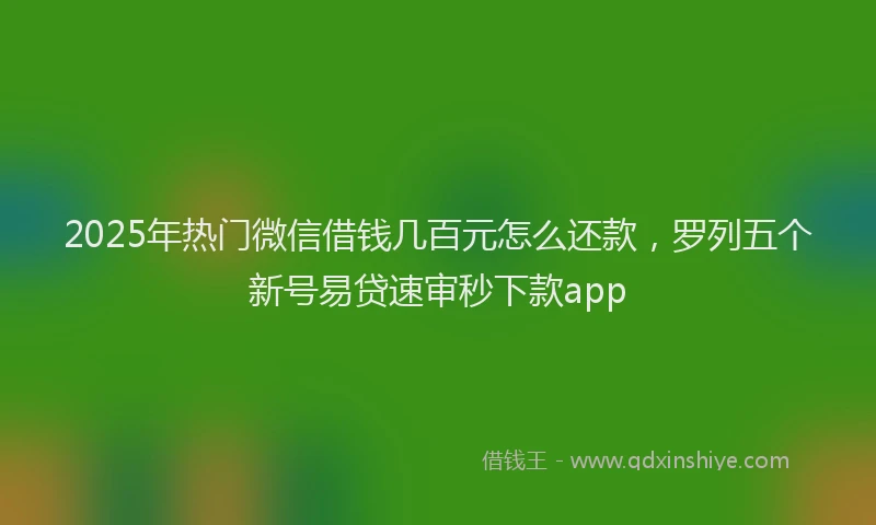 2025年热门微信借钱几百元怎么还款，罗列五个新号易贷速审秒下款app