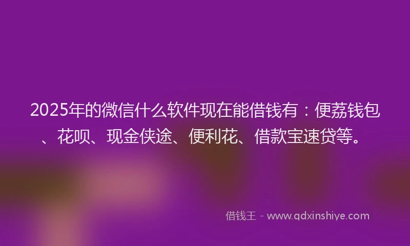 2025年的微信什么软件现在能借钱有：便荔钱包、花呗、现金侠途、便利花、借款宝速贷等。