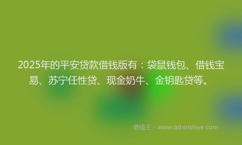 2025年的平安贷款借钱版有：袋鼠钱包、借钱宝易、苏宁任性贷、现金奶牛、金钥匙贷等。