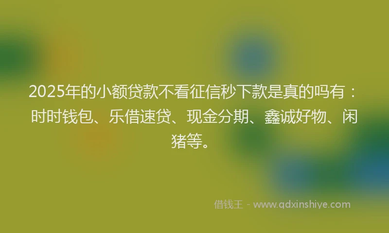 2025年的小额贷款不看征信秒下款是真的吗有：时时钱包、乐借速贷、现金分期、鑫诚好物、闲猪等。